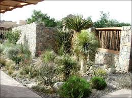 Centennial Museum Exhibits Modern Garden Design House Landscape Xeriscape