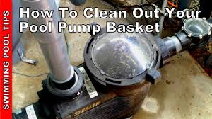 We did not find results for: How To Clean Out Your Pool Pump Basket Youtube