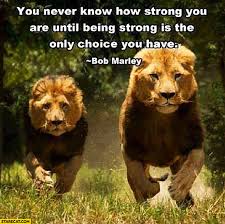 Quotes about strength, bob marley quotes. You Never Know How Strong You Are Until Being Strong Is The Only Choice You Have Bob Marley Quote Starecat Com