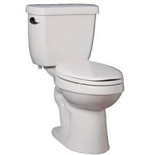 Order online for delivery or click & collect at your nearest bunnings. Proflo P9400 Series 17 In Elongated Ada Toilet Bowl In White Pf9403wh Ferguson