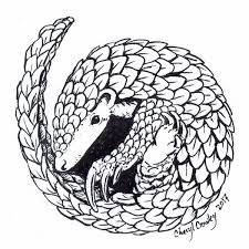 Pin By Kylie Roe On Tattoo Me Pangolin Art Pangolin Wildlife Tattoo