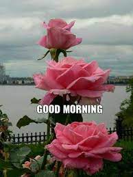 Pin By John Cochran On Good Morning Thank You Good Morning Quotes Good Morning Wishes Good Morning Messages