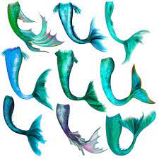 Mermaid Tail Overlay Mockaroon Mermaid Artwork Mermaid Tail Drawing Mermaid Images