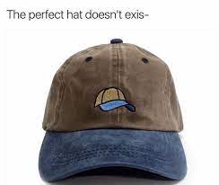The Perfect Hat Doesn T Exi Thecapguys Tcg Ie Inspiredexclusives Inspiredevolution Funny Hats Caps Meme Momemonday Hats 47 Brand Baseball Hats