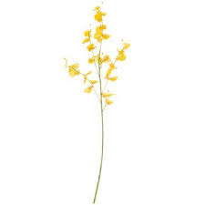 Yellow Dancing Orchid Spray Hobby Lobby 788984 Orchids Wedding Flower Stems Floral Arrangements