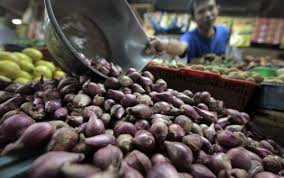Bagian utama dan paling penting dari bawang putih adalah umbinya yang biasanya digunakan sebagai bumbu dapur. Bawang Merah Dijual Rp 23 000 Per Kilogram Di Tiga Pasar Di Kota Bandung Ini Tribun Jabar