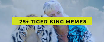 Questionwhere to buy tiger king's underwear? 25 Tiger King Memes Best All In One Spot Money Life Wax