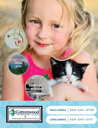 Enjoy Magazine: Northern California Living — October 2024 by Enjoy  Magazine: Northern California Living