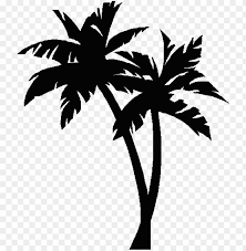 Tree clipart black and white. Icture Palm Tree Palm Trees Clipart Black And White Png Image With Transparent Background Toppng