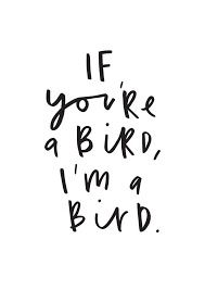 If You Re A Bird Print The Notebook Quotes Love Birds Quotes Bird Quotes