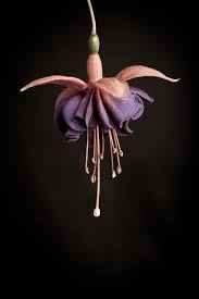 Pin On Art