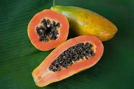 The red to brown skin looks astonishingly like that of a snake! Unusual Tropical Fruit In North Queensland Australia
