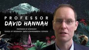 Professor David Hannah