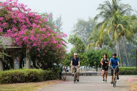 Maybe you would like to learn more about one of these? Recreational Connectivity Gardens Parks Nature National Parks Board Nparks