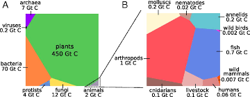 Ver más ideas sobre fiestas de cumpleaños mexicanas, decoracion fiesta mexicana, fiestas temáticas mexicanos. The Biomass Distribution On Earth Pnas