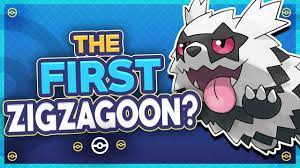 What S The Deal With Galarian Zigzagoon Pokemon Sword And Shield Theory Youtube