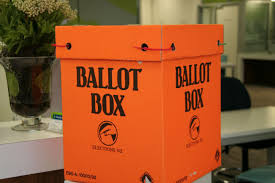 Sunlive Advance Voting Starts On Saturday The Bay S News First