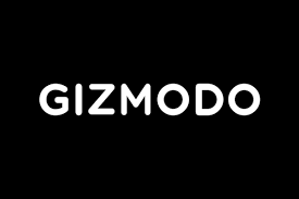 What are the headings of a claim against false allegations for a safeguarding case? Gizmodo Editor Says She Was Fired After Fabricated Allegations From Management