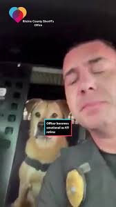 Police K9 Dexter is retiring at age 16. Officers gave him a send off over  their radios, and it brought his handler to tears 😭