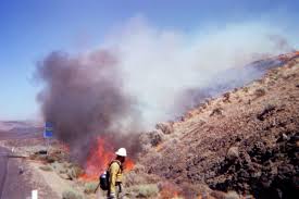 Maybe you would like to learn more about one of these? To Smolder Burn Slow Guernica
