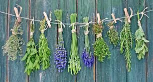 Maybe you would like to learn more about one of these? Cooking With Fresh Herbs C W Appliance Service