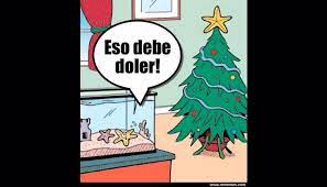 Pack De Memes Edicion Navidad Meme Amino