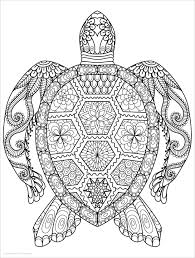 Free printable mandala and zentangle coloring pages. Animal Mandala Coloring Pages Coloringbay