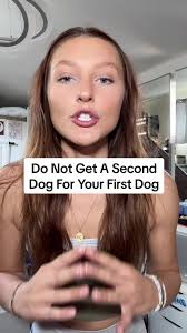 Should I Get A Third Dog