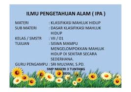 Bunga matahari ialah salah satu tanaman minyak yang paling penting karena mengandung asam lemak tak jenuh yang tinggi, rendah kolesterol dan manfaat minyak dari kualitas yang diinginkan (razi. 6 Ppt Klasifikasi Tumbuhan Pages 1 19 Flip Pdf Download Fliphtml5