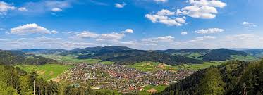 Wandern Nordic Walking Hotel Klosterbraustuben Im Schwarzwald