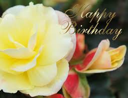Happy Birthday Honey Gisela Flowers Nature Background Wallpapers On Desktop Nexus Image 735757 Even nature rejoices at your birthday! happy birthday honey gisela flowers