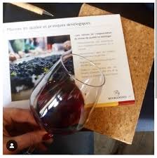 Par la rédaction de larvf.com. Vins De Bourgogne Ma Selection Plaisir Qualite Prix Trendydelight