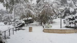 08/01/2021 לקראת הסגר ריכזנו עבורכם ארגוני סיוע בהתנדבות. L1d2u1klwh J1m