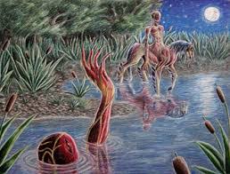 Image result for Striga hallaei