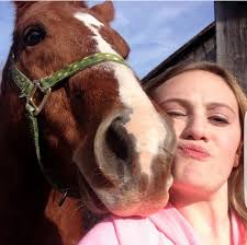 Is anyone familiar with the Sugar Creek horse auction or have a drone to  help find my missing horse in Amanda, Ohio?