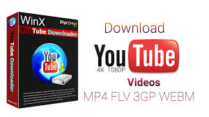 The best youtube video downloader 2019. Winx Youtube Video Downloader Help You Save Online Videos In Mp4 Without Hassle Wikigain