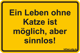 Die Besten 41 Katze Spruche Auf Istdaslustig De