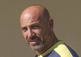 Economy and Society in Prehistoric Europe|Andrew Sherratt.