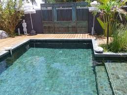 Marinal Swimming Pools Compatible With Any Coating
