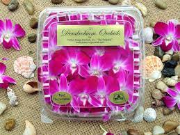 Where can i buy edible flowers near me. Amazon Com Edible Orchids 50 Count Pack Of 4 Grocery Gourmet Food