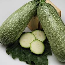 Well all squash plants originate in the americas. Grey Zucchini Squash Seeds 5 Lb Bulk 14 000 Seeds Heirloom Open Pollinated Non Gmo Farm Vegetable Gardening Seeds Walmart Com Walmart Com