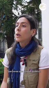 Un grupo de investigación del INSP, encabezado por la Dra. Jacqueline  Alcalde, ha sido elegido para desarrollar un proyecto que permita la  inclusión de los agentes comunitarios de salud como parte de