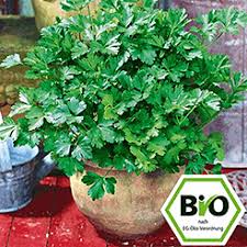 Hochbeete für terrasse und garten montageservice nützlinge bio erde bio samen für selbstversorger und hobbygärtner wir gestalten ihren nutzgarten. Bio Garten Anlegen Jetzt Alles Online Kaufen Bei Baldur Garten
