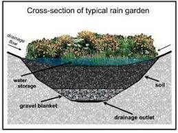 How To Build A Rain Garden In The Low Spots Of Your Yard Rain Garden Rain Garden Design Urban Garden