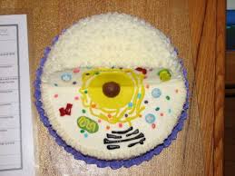 Animal cell 3d model cake. 31 Cell Cake Ideas Cells Project Animal Cell Cell Model