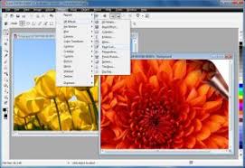 Image result for Download Corel Draw 12