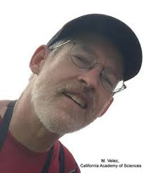 About the Author Lee Post