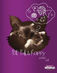 Digital Media Campaign For Whiskas Cat Food Pets Preschool Theme Pets Preschool Cute Animals