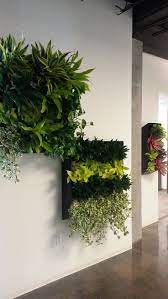 Plant Portraits Pothos Enjoy Dracaena Compacta Dracaena Green Stripes Neon Pothos Neo Bromeliads Vertical Garden Plants Plants Inside Plants