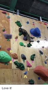 The hottest memes of north, central, and south america from beringia to tawantinsuyu. Bouldering Gym Boulbakastoryful Love It Gym Meme On Me Me